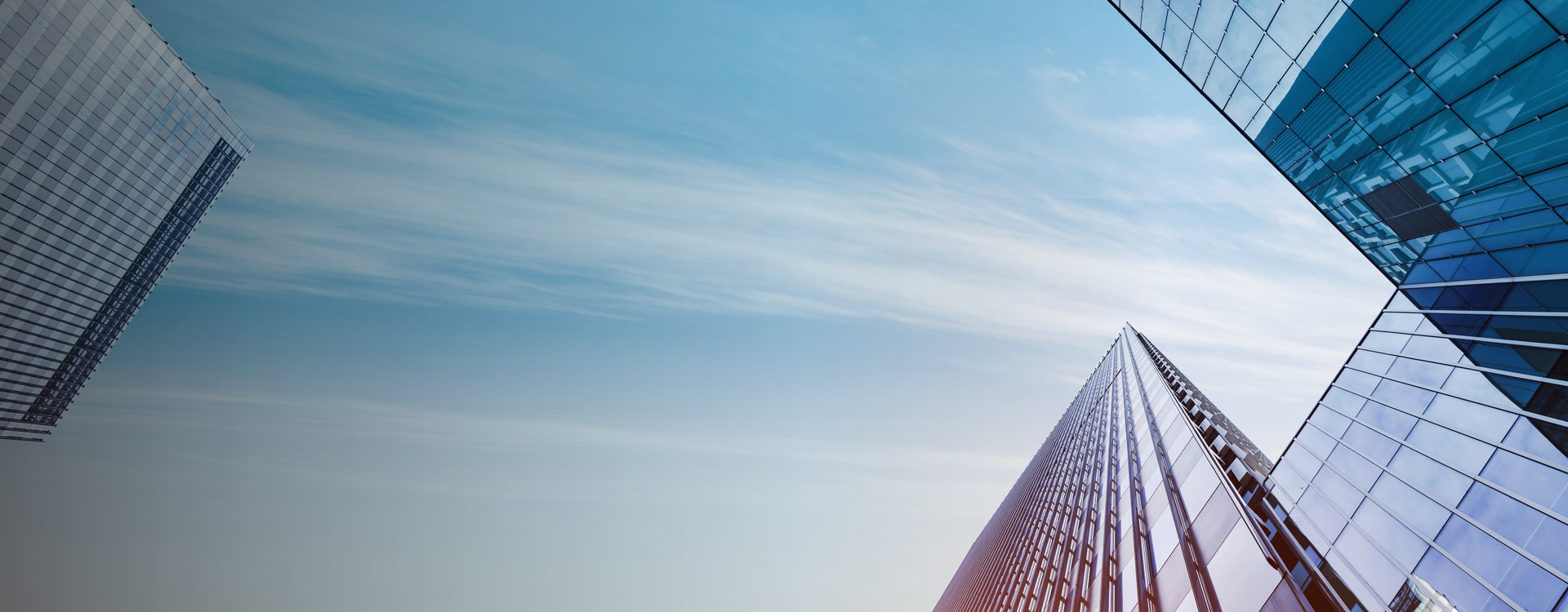 91星空媒传煤在线观看